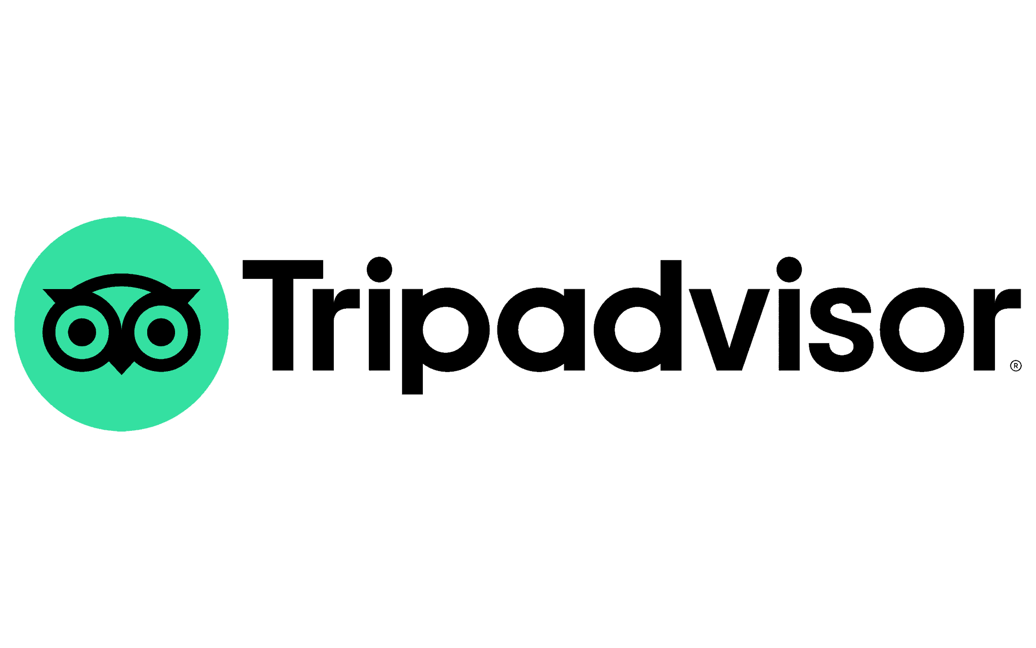 icona-tripadvisor